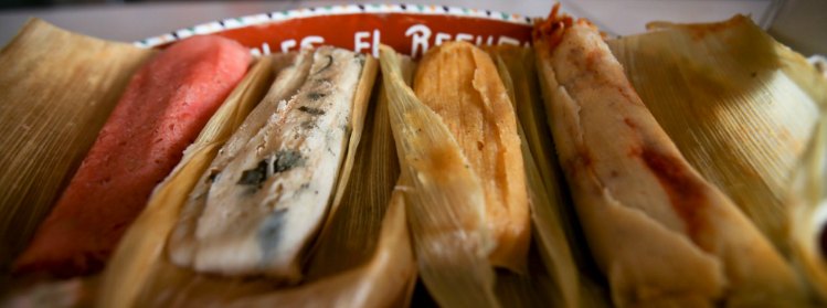 tamal8